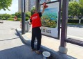 烈日映红心，环境共守护——东阳平安产险开展世界环境日公益活动